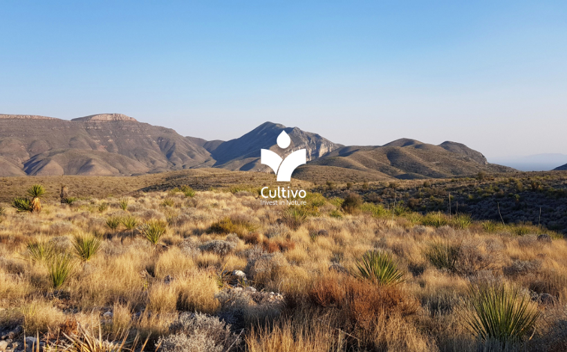 Octopus Energy Invests in Nature Tech Platform