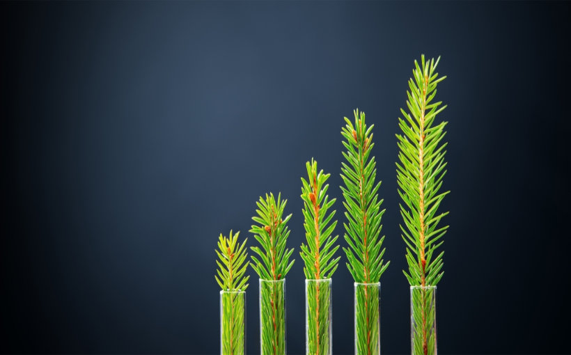 Hamilton Lane Launches Two Infrastructure Evergreen Funds
