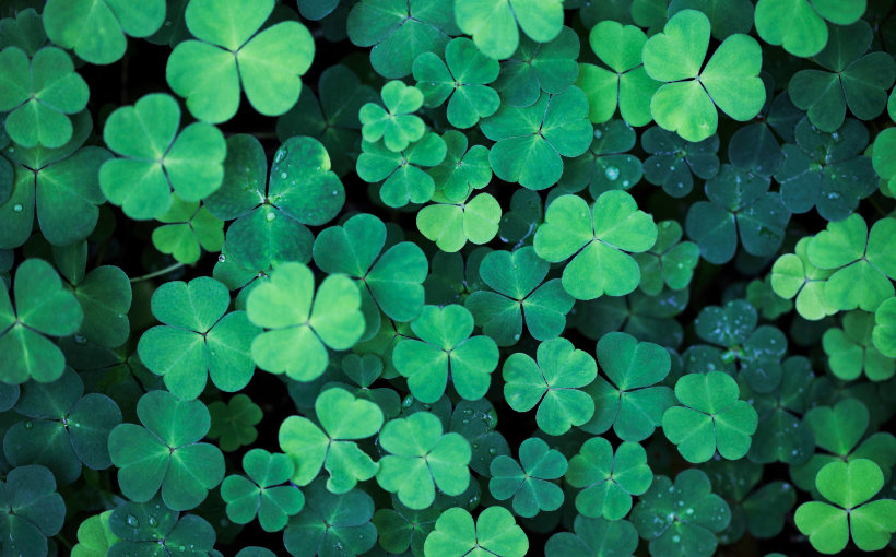 Shamrock Capital Raises $1.6B for Two New Funds