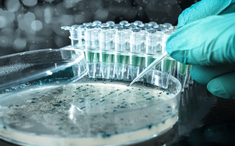 Andreessen Horowitz, Eli Lilly Team on $500M Biotech Venture Fund