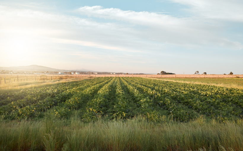 Homestead Capital Secures $150M Anchor First Close for Debut Ag Credit Fund