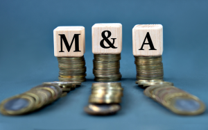 HomeTrust to Acquire Blue Ridge in $448M Stock Deal